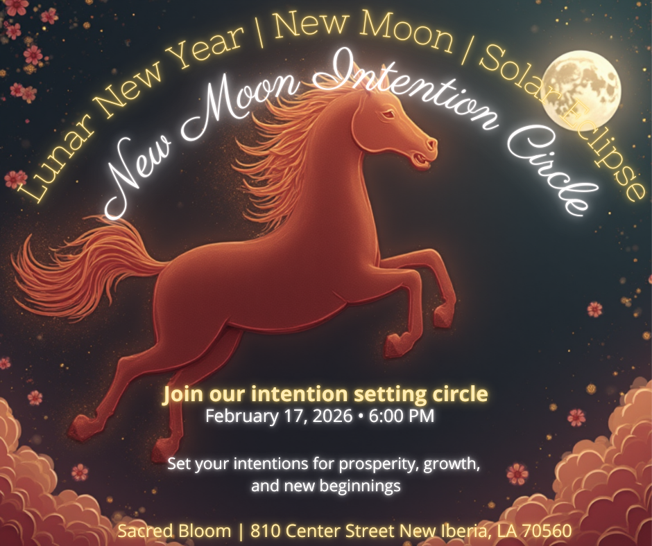 Lunar New Year | New Moon | Eclipse