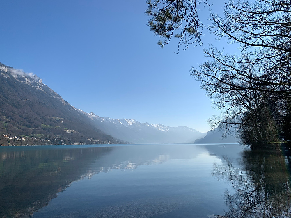 eine tolle Aussicht mit einer Tasse Kaffee am Morgen, direkt vor dem Wohnmobil und am See. Ein Träumchen