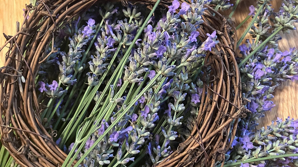 Lavender Wreath Making