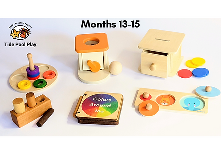 The toy library service that delivers