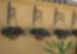 stock-photo-flower-wall-vertical-garden-background.jpg