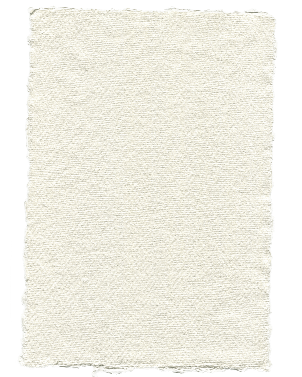 Body (1).png