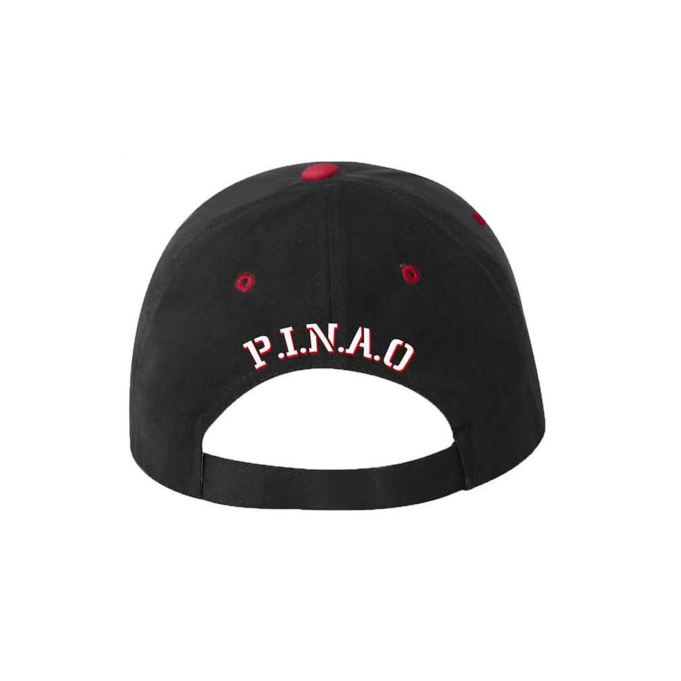 縮圖：ETSNJ's Logo Ball Cap