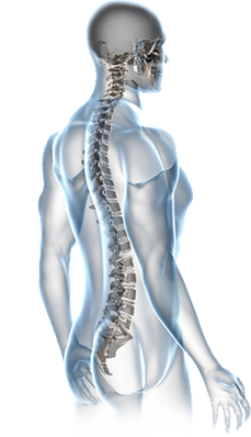 The Drive Chiropractic