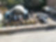 DJI_0184.JPG