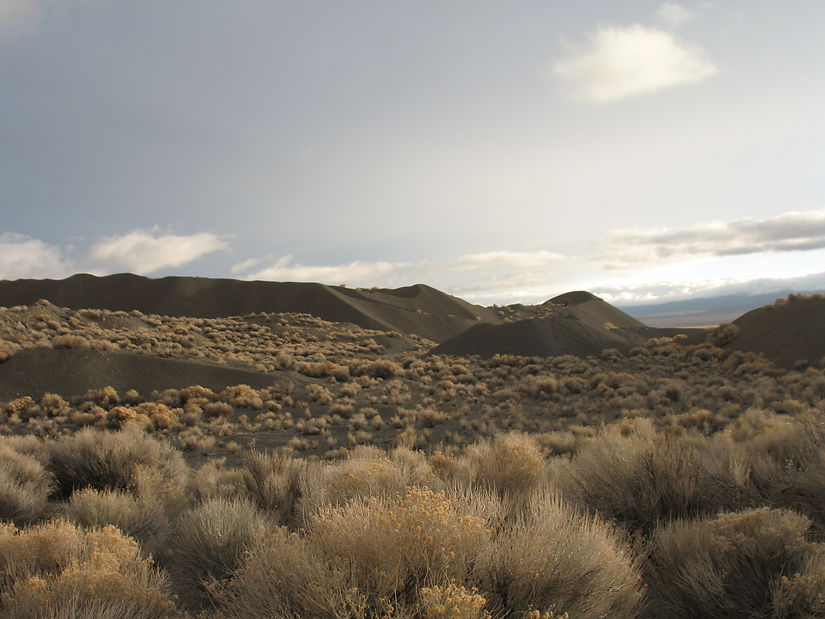 IMG_3602.JPG