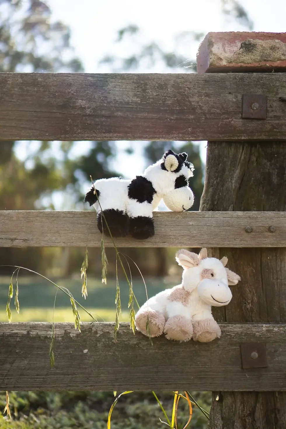 Thumbnail: Nana Huchy | Coco The Cow - Black
