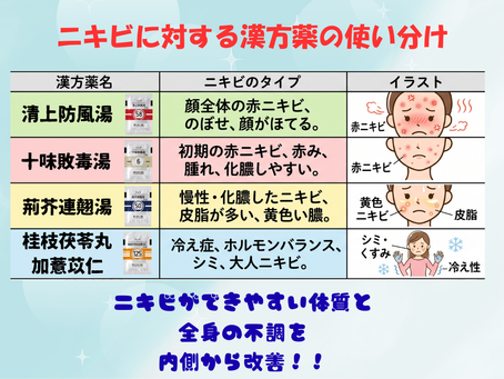ニキビに対する漢方薬の使い分け