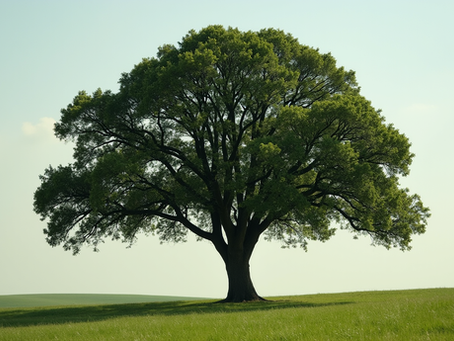 Embracing Strength and Stability: The True Essence of a Taurus Woman