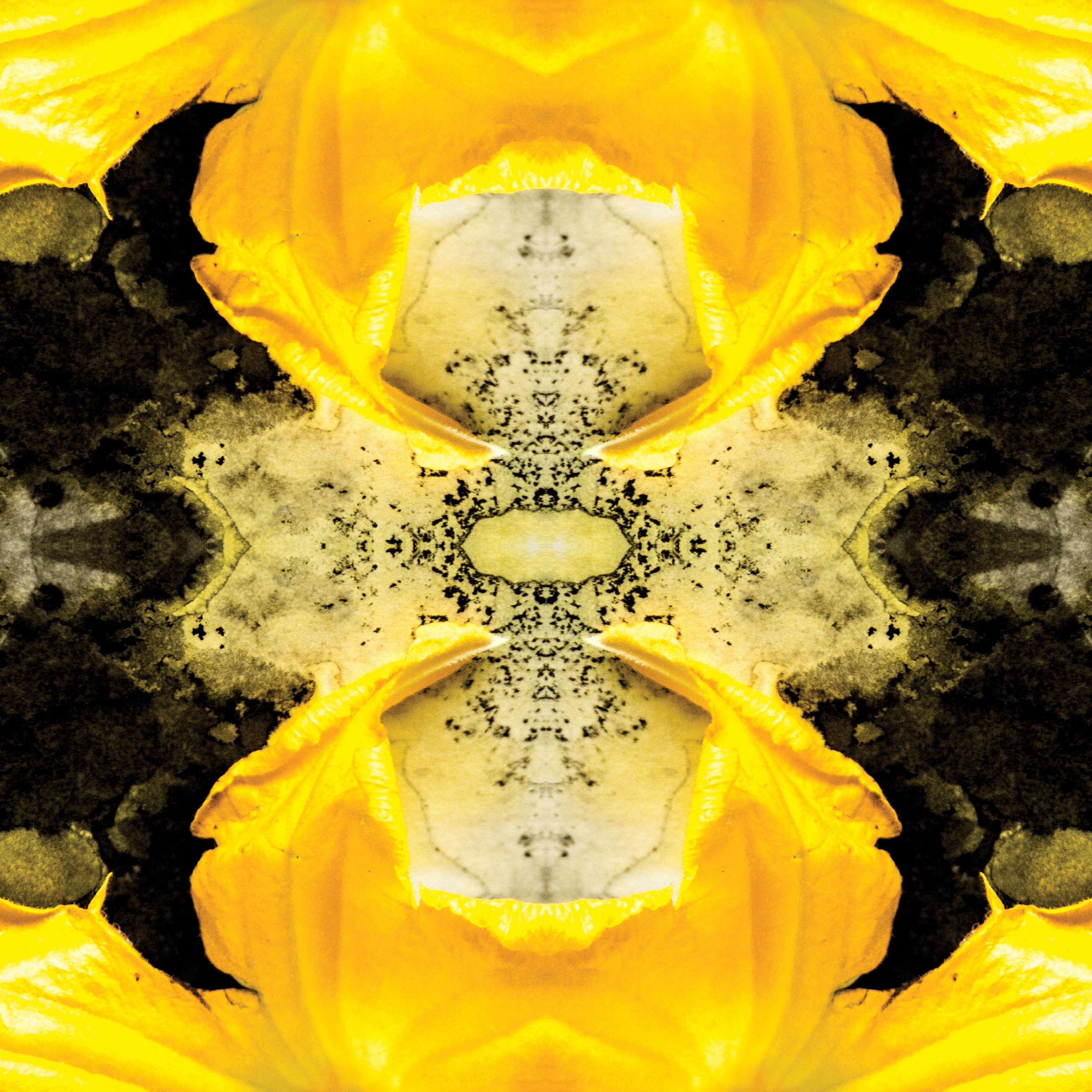 QBMandalas_BlackLivesMatter4.gif