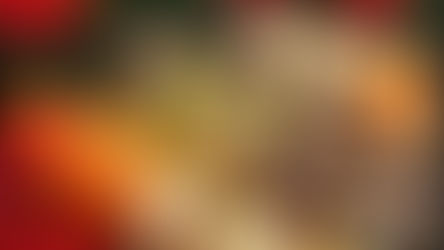 Celebrate Christmas at Spice Island with Festive Brunch and Dinner