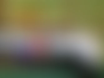 Ethiopian Graduates IATA Travel & Tourism Professionals