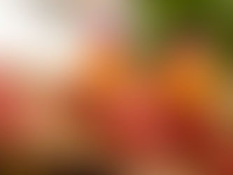 Sea Fu Restaurant Reopens at Four Seasons Resort Dubai