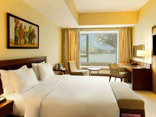 Radisson Hotel Group Delivers Strong Growth Through 9 Brands