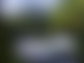 Seas The Day With Travelwings' Irresistible Cruise Offers!