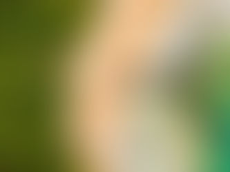 New Service: Radisson Introduces Radisson Flights with Etraveli