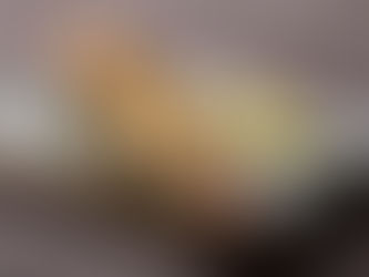 Zuma Restaurant Madrid Opens in Hotel Fénix by Gran Meliá