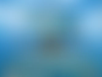 Viability of Cargo Airports and Agro-Exports to be Discussed at CHINET 2022