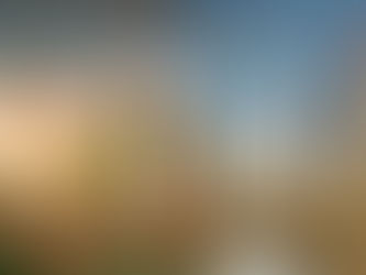 Etihad Expands in US with More Flights to Chicago and Charlotte