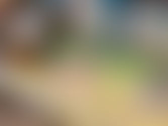 Airbus’ Next-Generation Beluga XL Begins to Take Shape