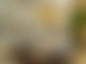 Inside 'Emirates First': An Exclusive New First Class Experience at DXB