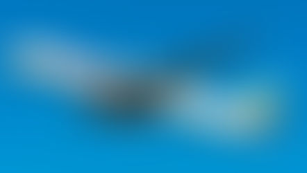 Save Big on Your Holiday Travels with Ethiopian Airlines Deals