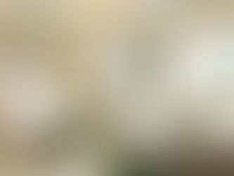 Waldorf Astoria Ras Al Khaimah Re‑Opens with New Experience