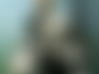 KLM Partners with Marie-Stella-Maris and Envisions to Reward Guests