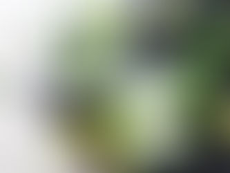 Southern Sun Hotels Introduces Bottomless Gin Cocktails