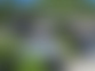 Kenya Airways Increases Frequency on Nairobi-Seychelles Route