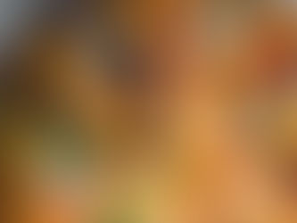 DFF: Torres Arrives Four Seasons Dubai with Special Cuisine