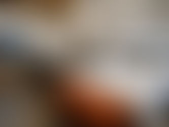 Extend Your Holidays with Bonus Deal at Buckler Africa Lodge