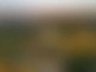 Meliá Collection Debuts in Tuscany, Italy with Tenuta di Artimino