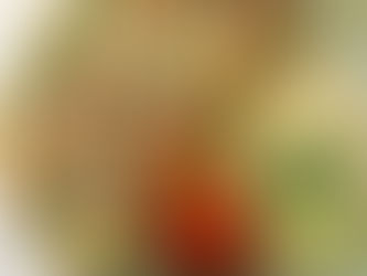 New Summer Pop Up Arrives at Four Seasons Hotel Amman