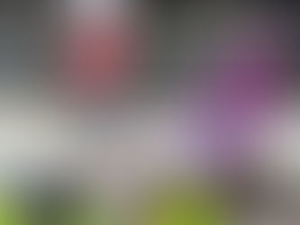 Hotel Development in GCC Growing at 6 Times Global Average