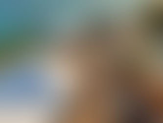 Hilton Debuts Canopy by Hilton Brand in South of France