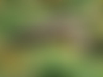 Kempinski Hotels Expands in Africa with Three New Properties