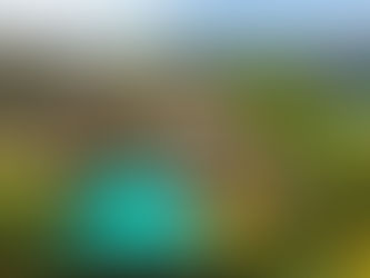 IHG Strengthens Leading Position in Luxury & Lifestyle Segment