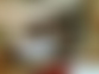 Indulge in Luxury with Irresistible Festive Deals at SEVEN Villa Hotel