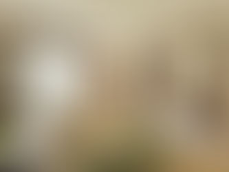 Four Seasons Hotel London Set to Unveil Newly Renovated Suites