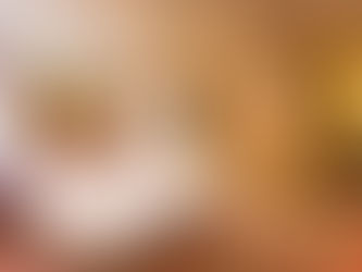 Royal Palm Hotel Umhlanga Joins BON Hotels Portfolio