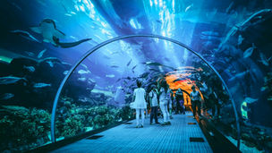 Fly Emirates and Create Beautiful Memories in Dubai for Free