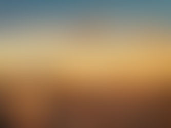 Etihad Airways Resumes Passenger Flights to Shanghai