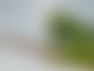 Delta and AirBaltic Launch New Codeshare Cooperation