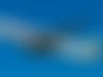 Ethiopian Airlines Launches Service to Copenhagen, Denmark