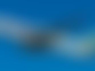 Ethiopian Airlines Celebrates 25 Years of Flying to USA