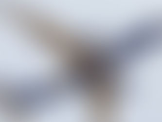 RwandAir Considers A350 for Flights to North America