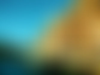 Tsogo Sun Hotels Partners with 2020 F1 Joburg Festival