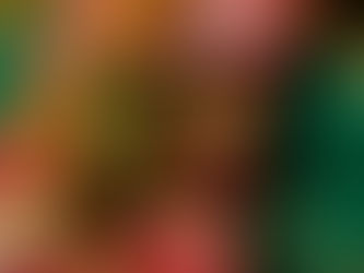 Taste of Japan Arrives at Four Seasons Hotel Dubai