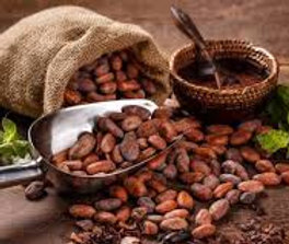 GRANO DE CACAO